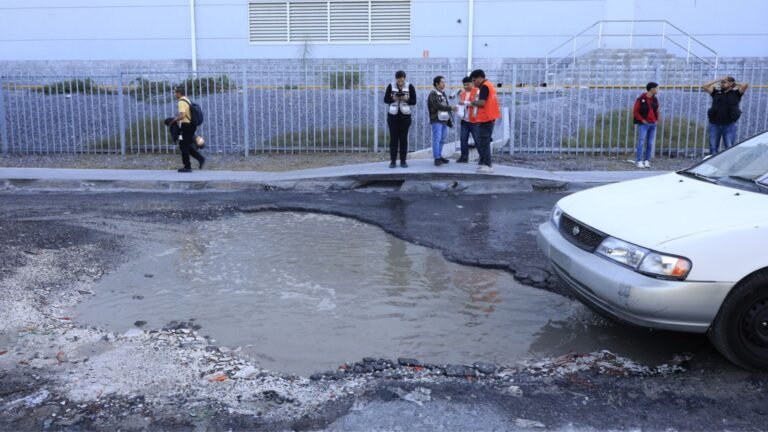 Plecas e informacion - 2025-11-12T195103.771