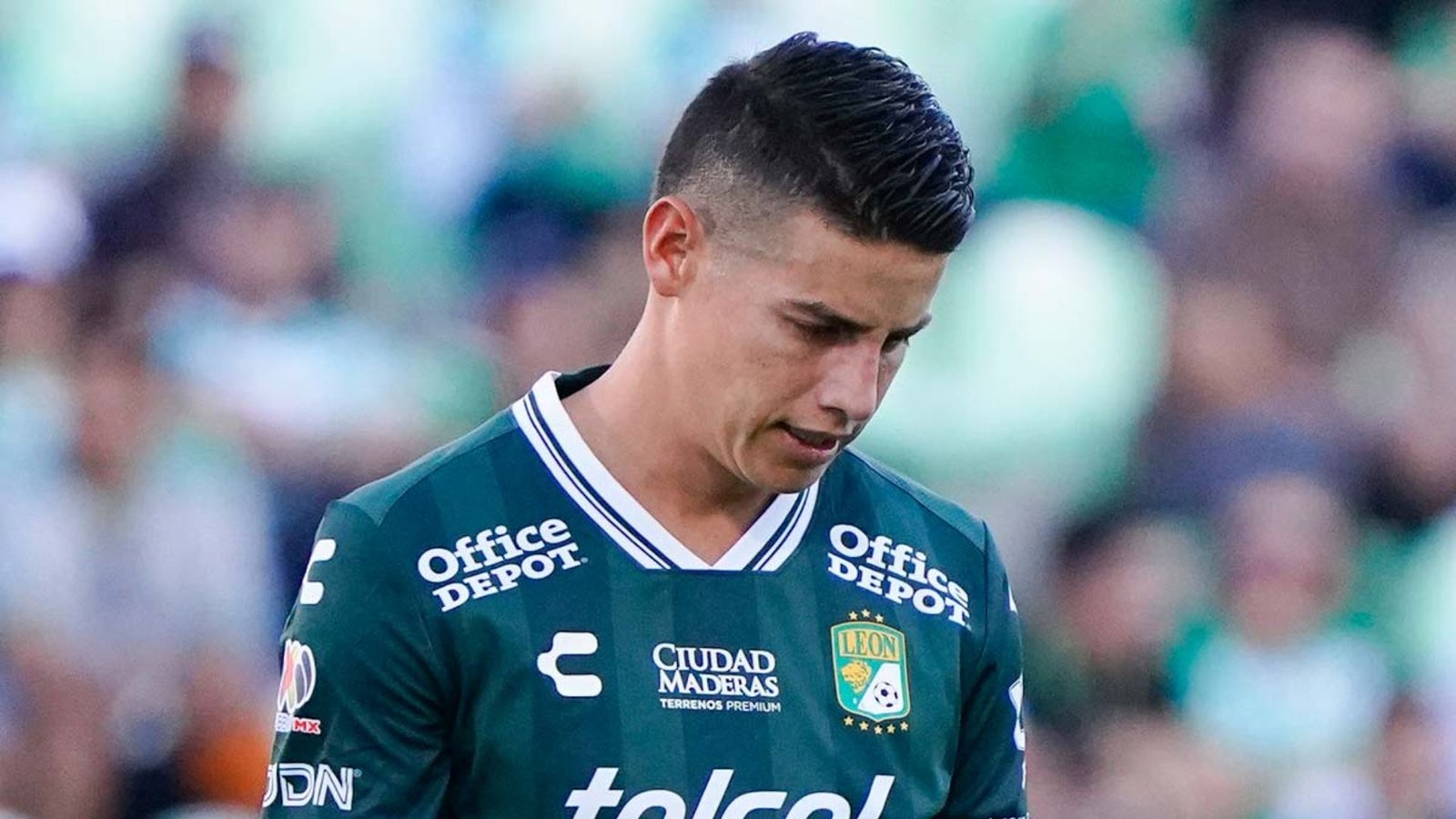 Plecas e informacion - 2025-11-12T201247.773