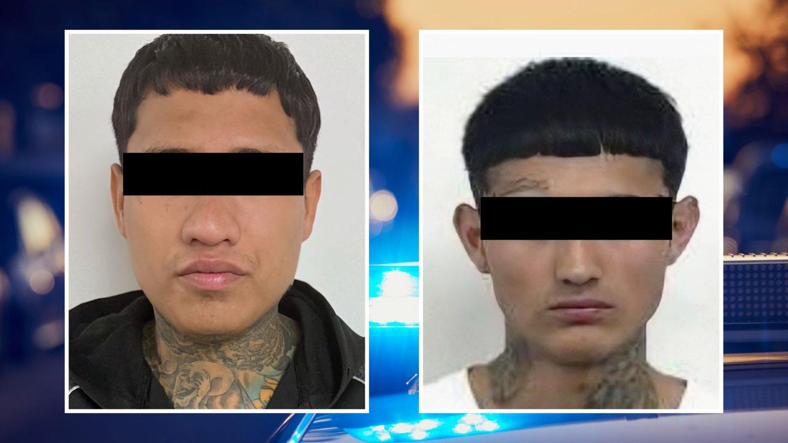 Plecas e informacion - 2025-11-12T204006.874