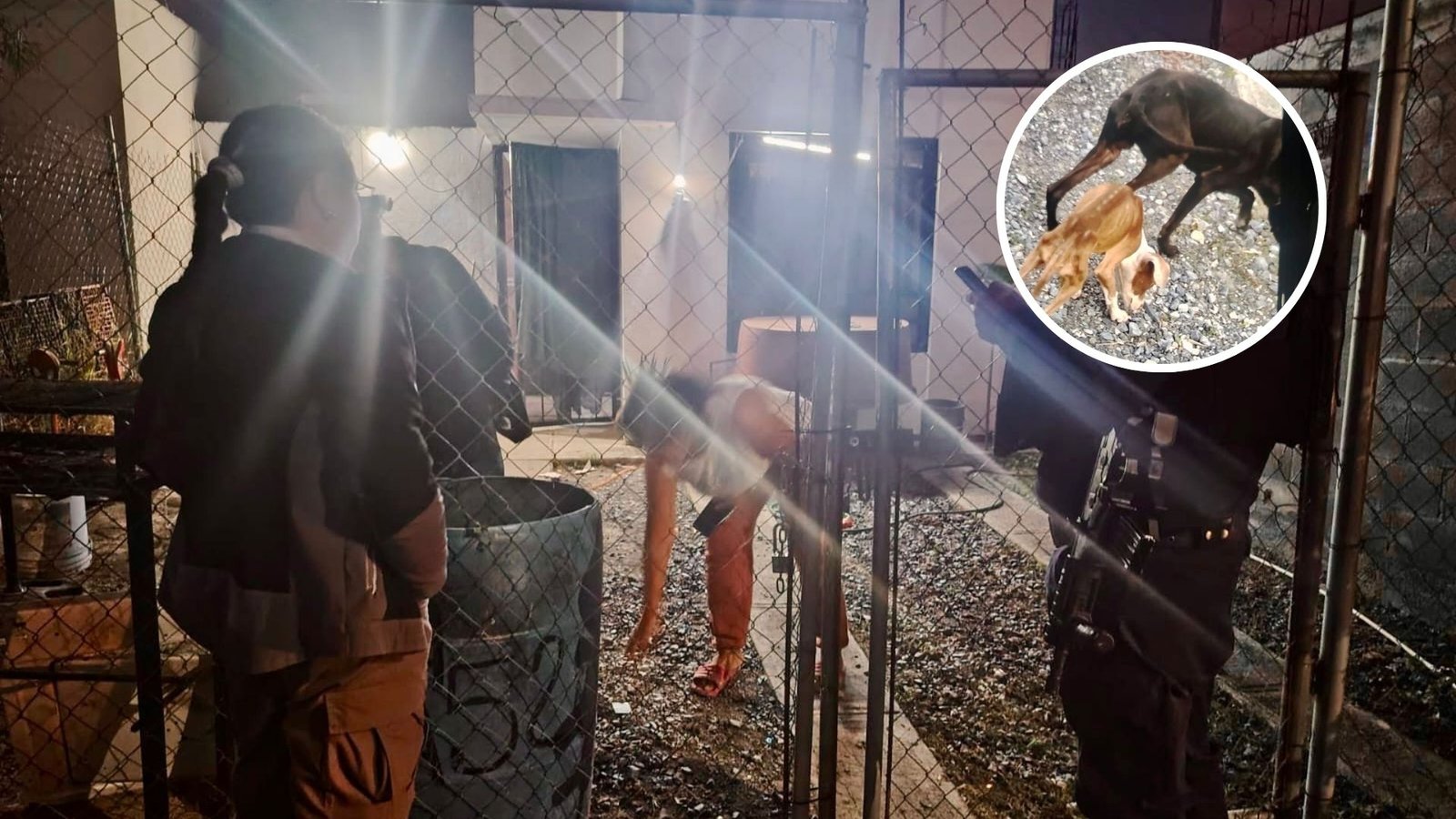 Plecas e informacion - 2025-11-12T204631.843