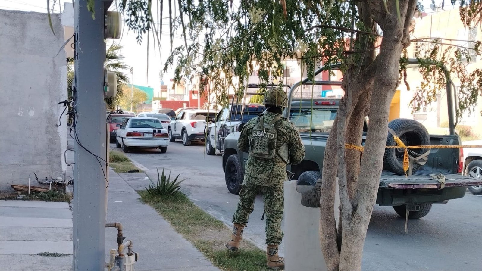 Plecas e informacion - 2025-11-12T210043.167