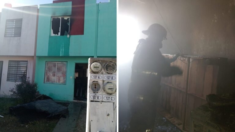 Plecas e informacion - 2025-11-12T210537.897