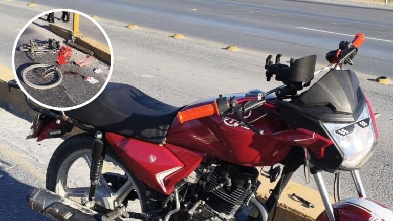 Plecas e informacion - 2025-11-12T211724.993