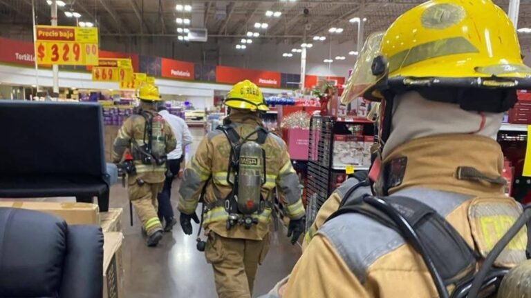 Plecas e informacion - 2025-11-12T212610.790