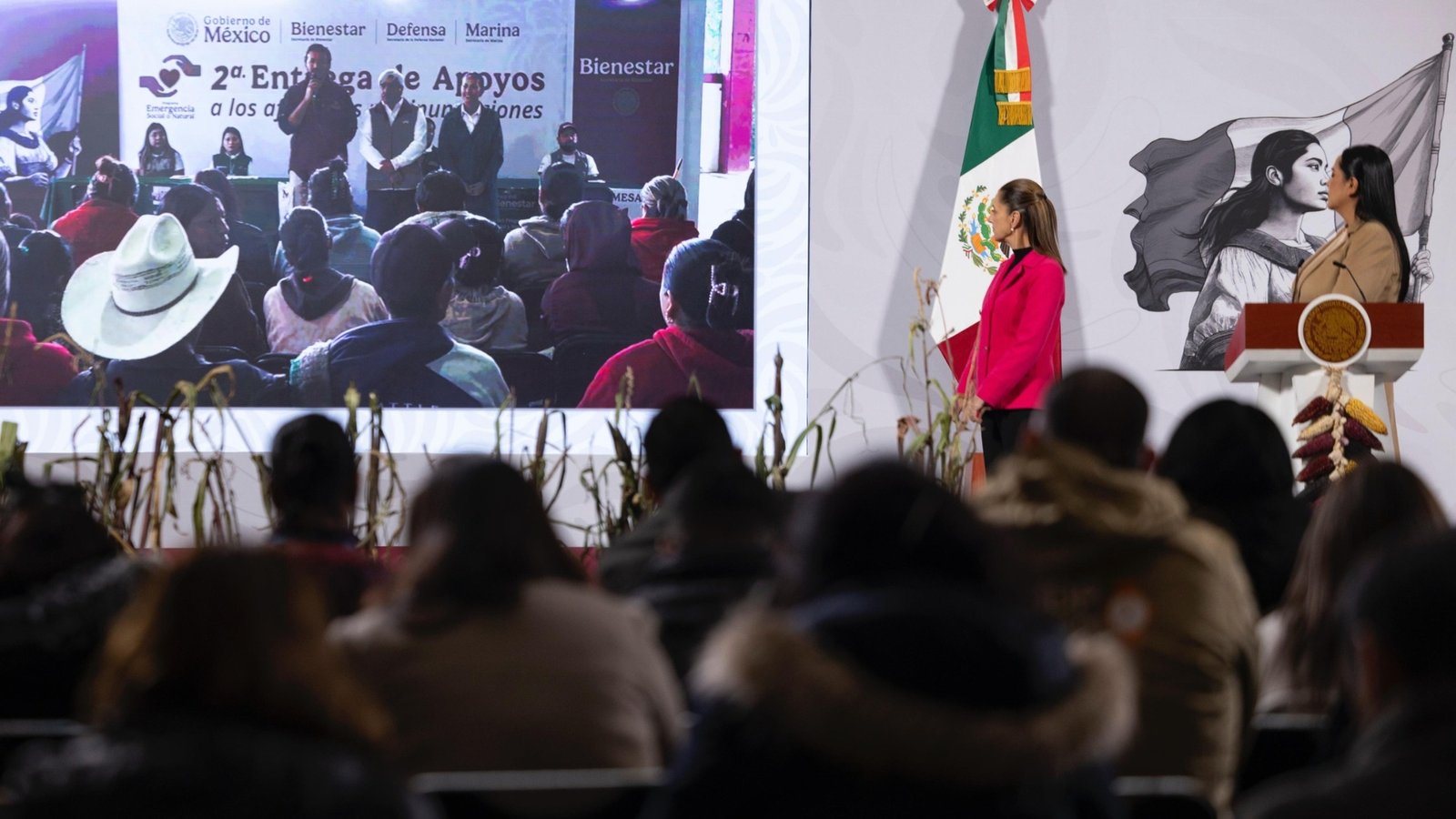 apoyo por lluvias en México.