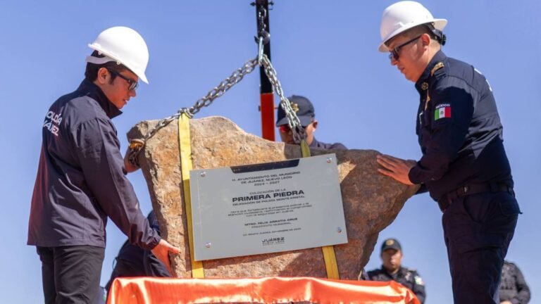 Plecas e informacion - 2025-11-13T161954.376