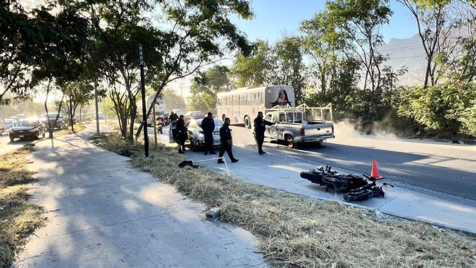 Plecas e informacion - 2025-11-13T173838.362