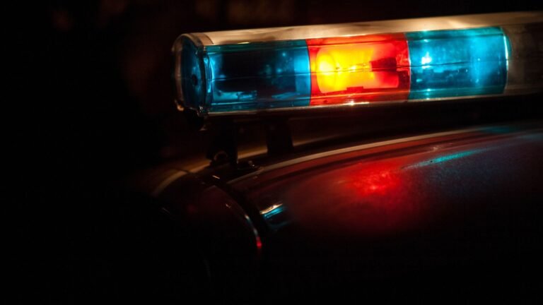 Plecas e informacion - 2025-11-13T175301.287