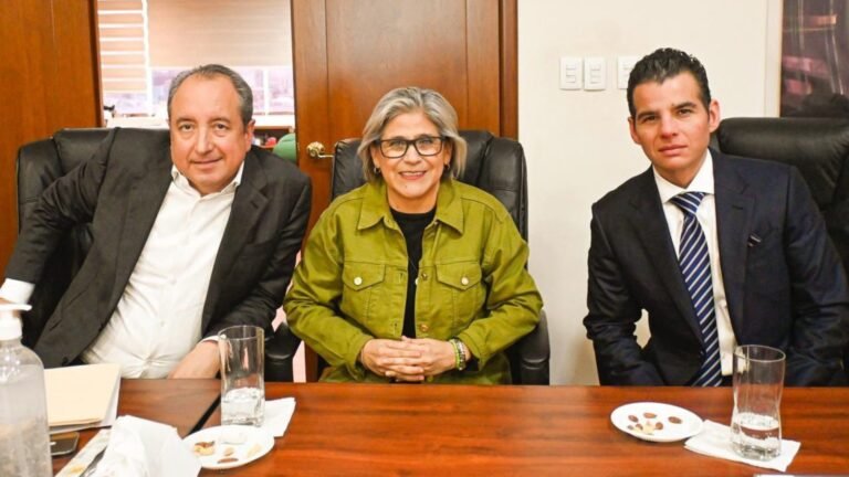 Plecas e informacion - 2025-11-13T180545.390