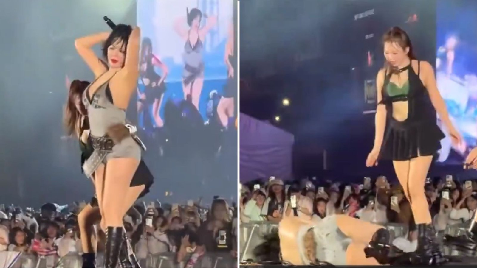 Plecas e informacion - 2025-11-13T185959.282