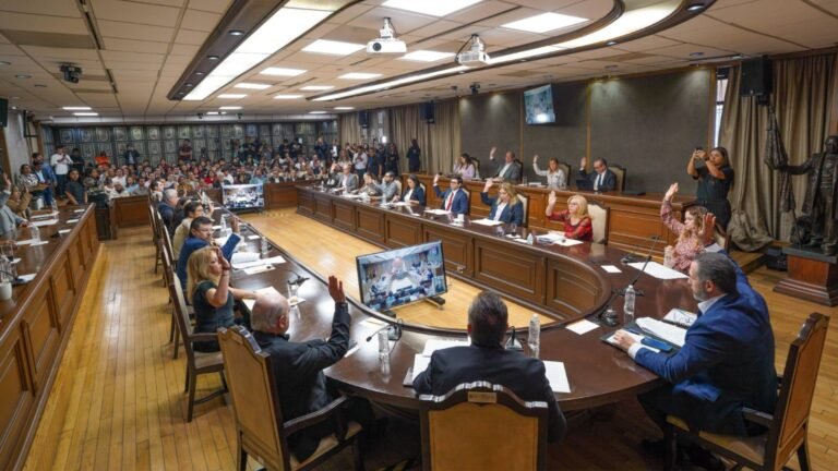 Plecas e informacion - 2025-11-14T170509.108