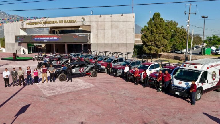 Plecas e informacion - 2025-11-17T123724.344