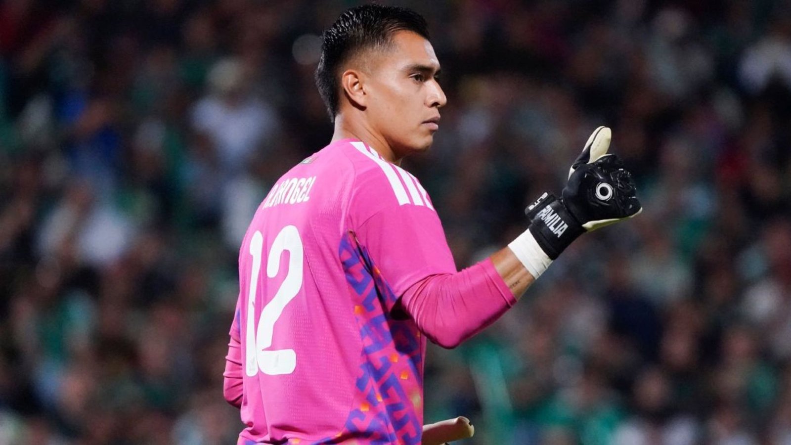 Plecas e informacion - 2025-11-17T145650.105