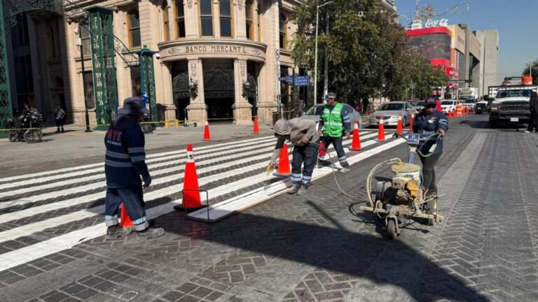 Plecas e informacion - 2025-11-18T180127.306