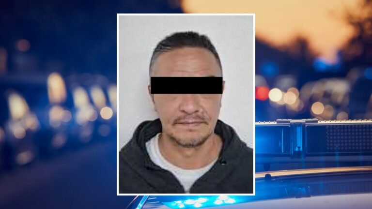 Plecas e informacion - 2025-11-18T192213.330