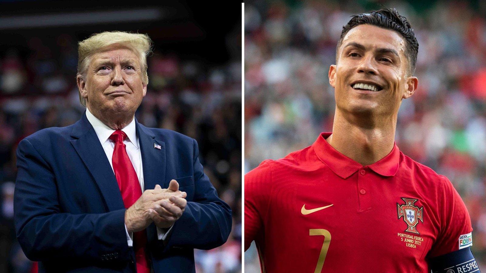 Plecas e informacion - 2025-11-18T195308.292