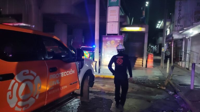 Plecas e informacion - 2025-11-18T234516.985