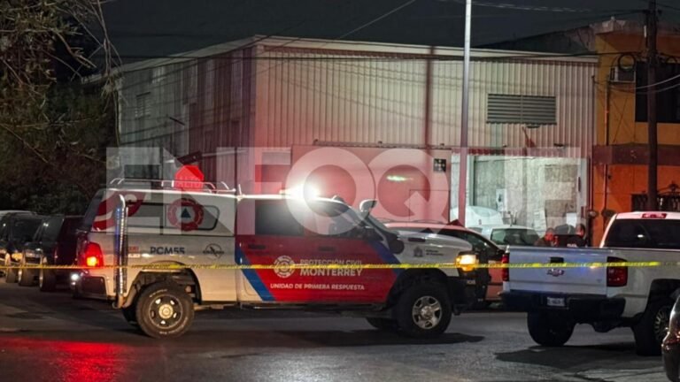 Ejecutado en taller de la colonia Argentina en Monterrey.