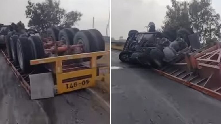 Plecas e informacion - 2025-11-19T180300.624