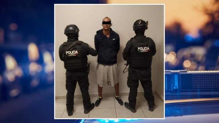 Plecas e informacion - 2025-11-19T184600.840