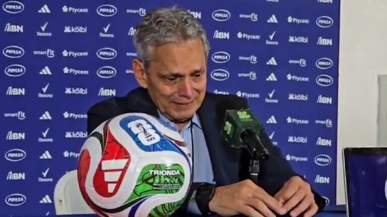 Plecas e informacion - 2025-11-19T195432.495