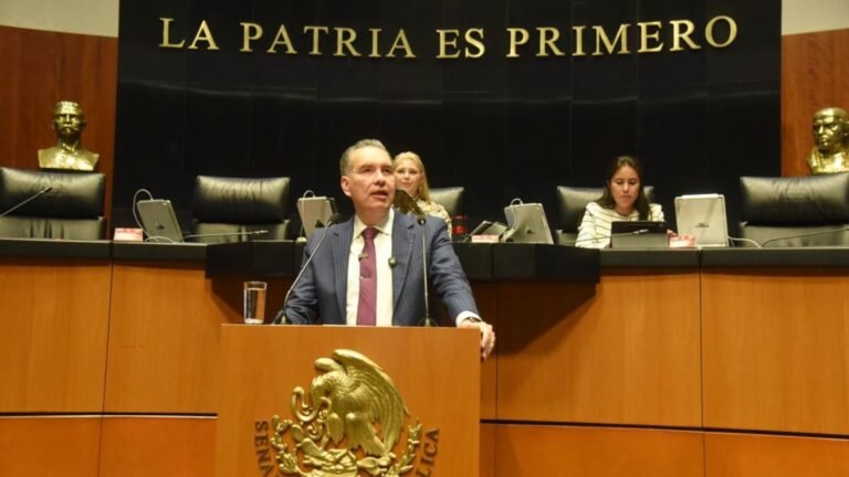 Plecas e informacion - 2025-11-20T163502.540