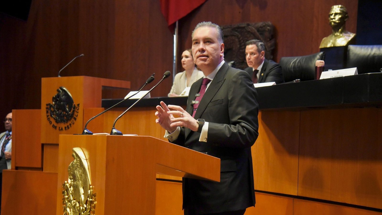 Plecas e informacion - 2025-11-20T172424.397