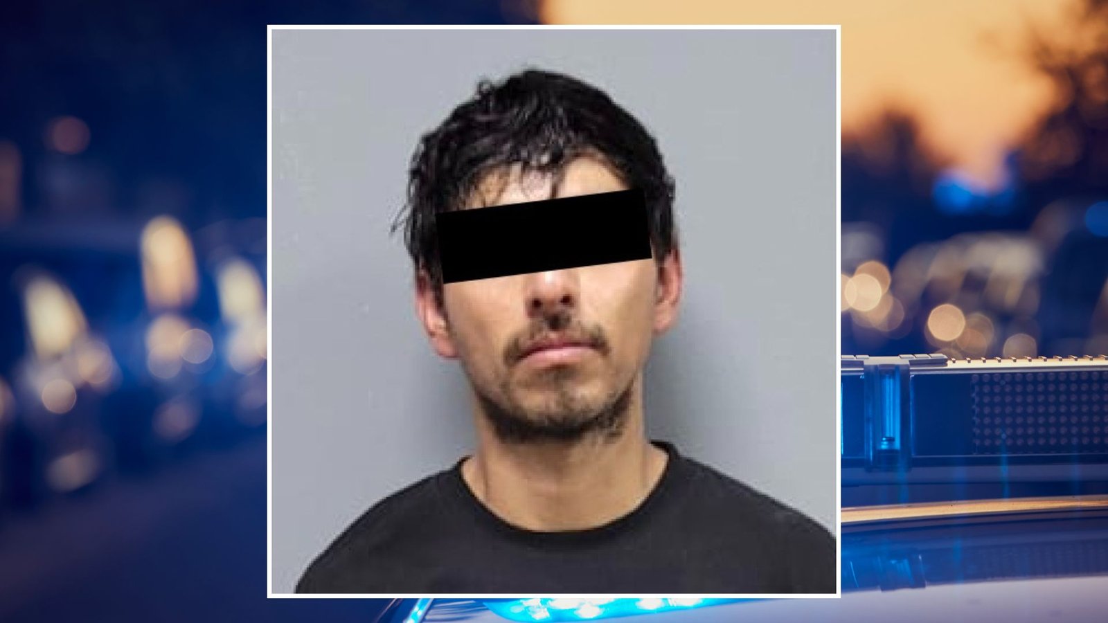 Plecas e informacion - 2025-11-20T174333.401