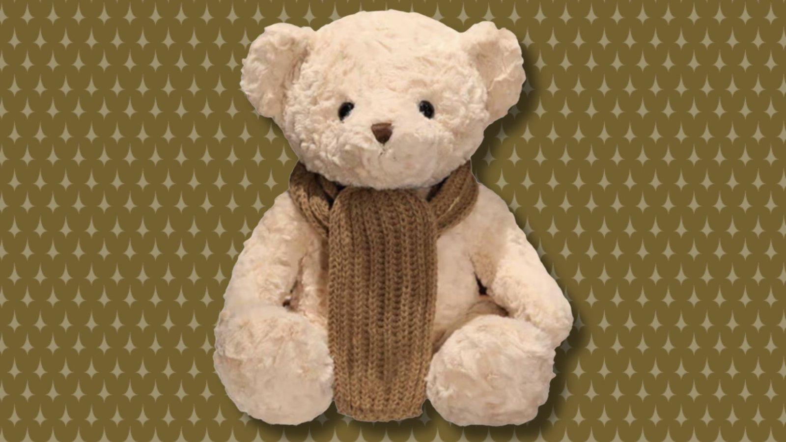 Plecas e informacion - 2025-11-20T181540.416