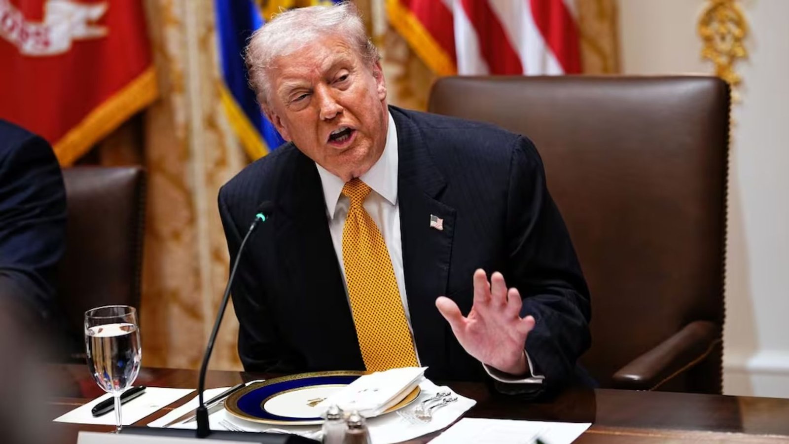 Plecas e informacion - 2025-11-20T185113.542