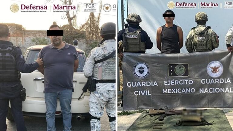 Plecas e informacion - 2025-11-20T212536.044