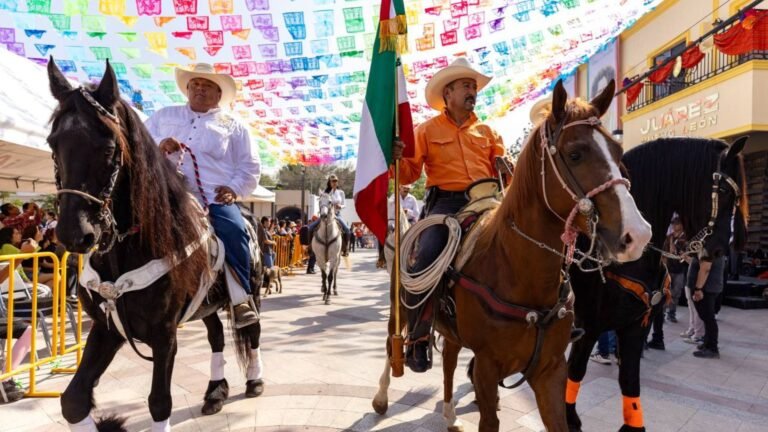 Plecas e informacion - 2025-11-21T174056.547