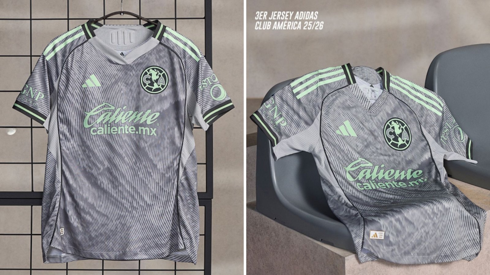 Plecas e informacion - 2025-11-21T192225.515