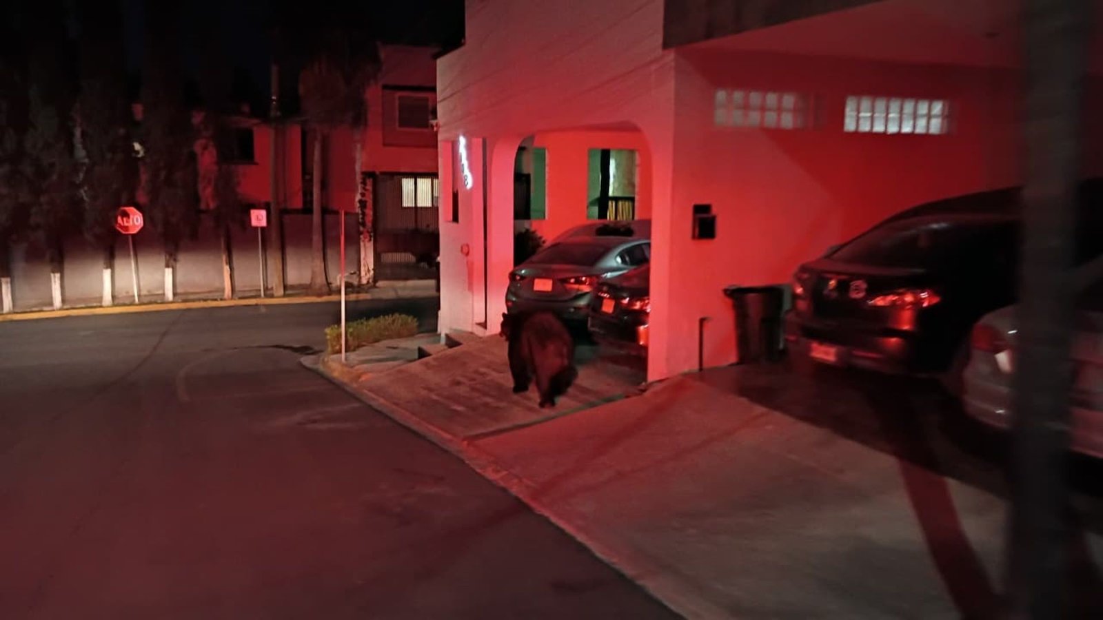 Plecas e informacion - 2025-11-22T094308.087