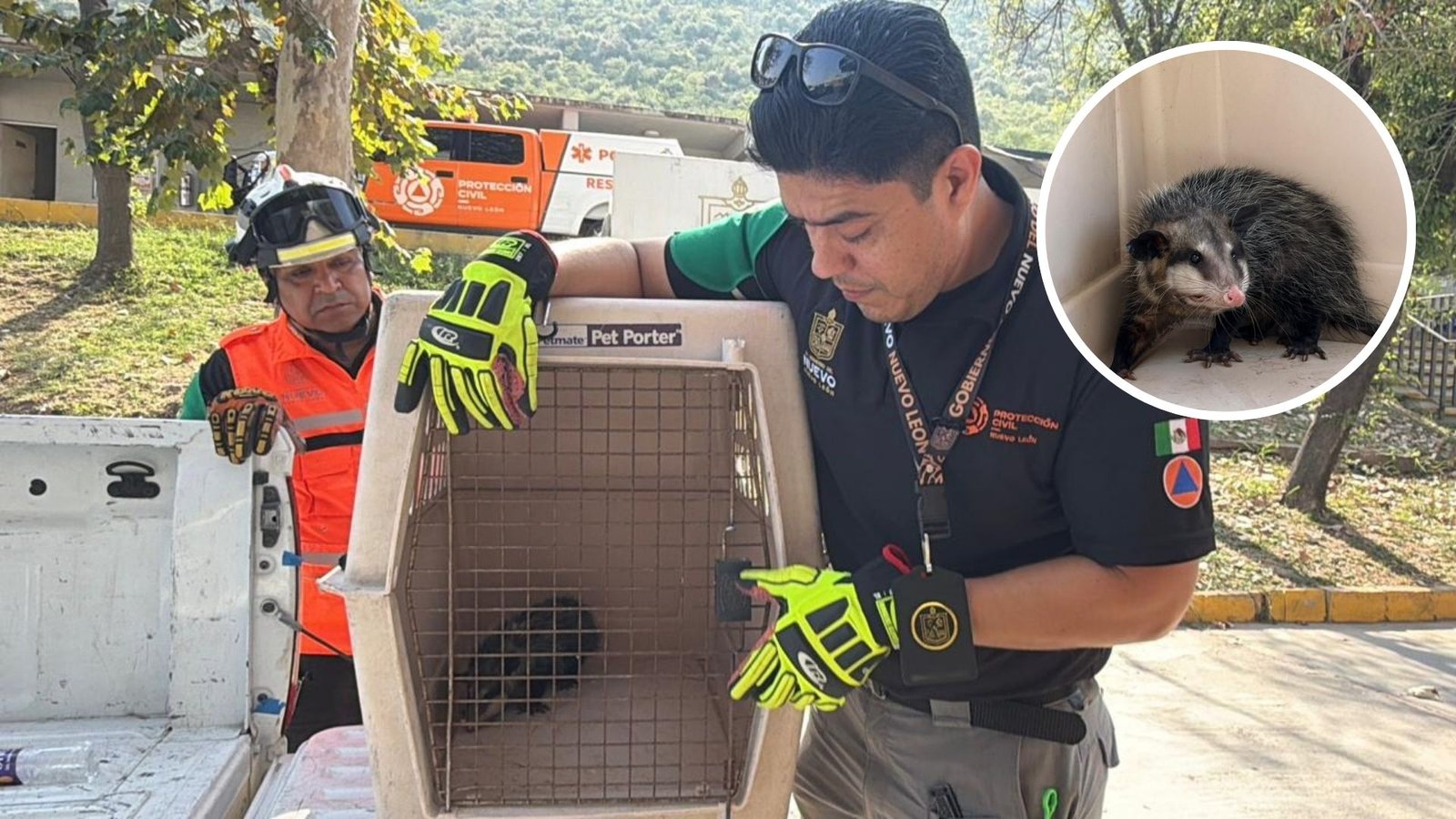 Plecas e informacion - 2025-11-22T163310.039