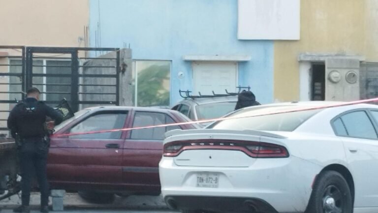 Plecas e informacion - 2025-11-24T174949.908