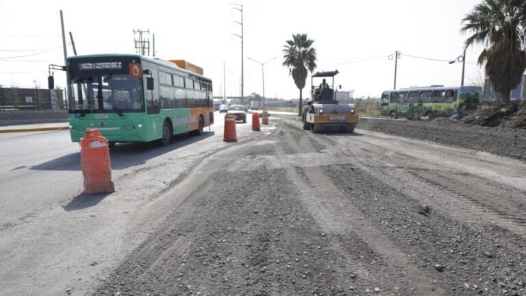 Plecas e informacion - 2025-11-24T175553.696