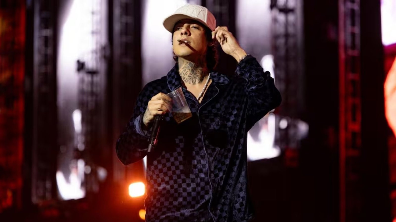 Plecas e informacion - 2025-11-24T183049.486