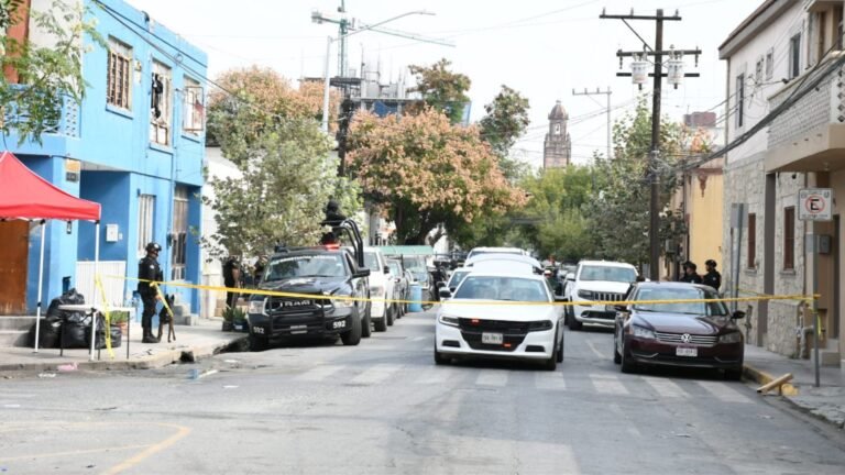 Plecas e informacion - 2025-11-25T195952.399