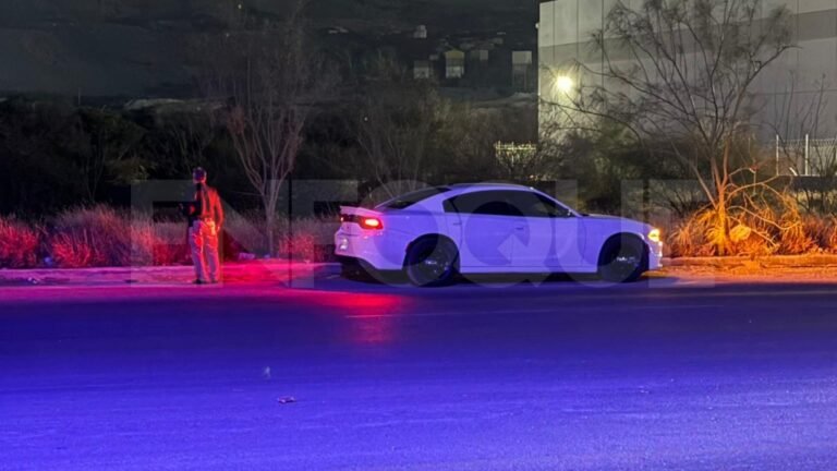 Plecas e informacion - 2025-11-25T202704.369