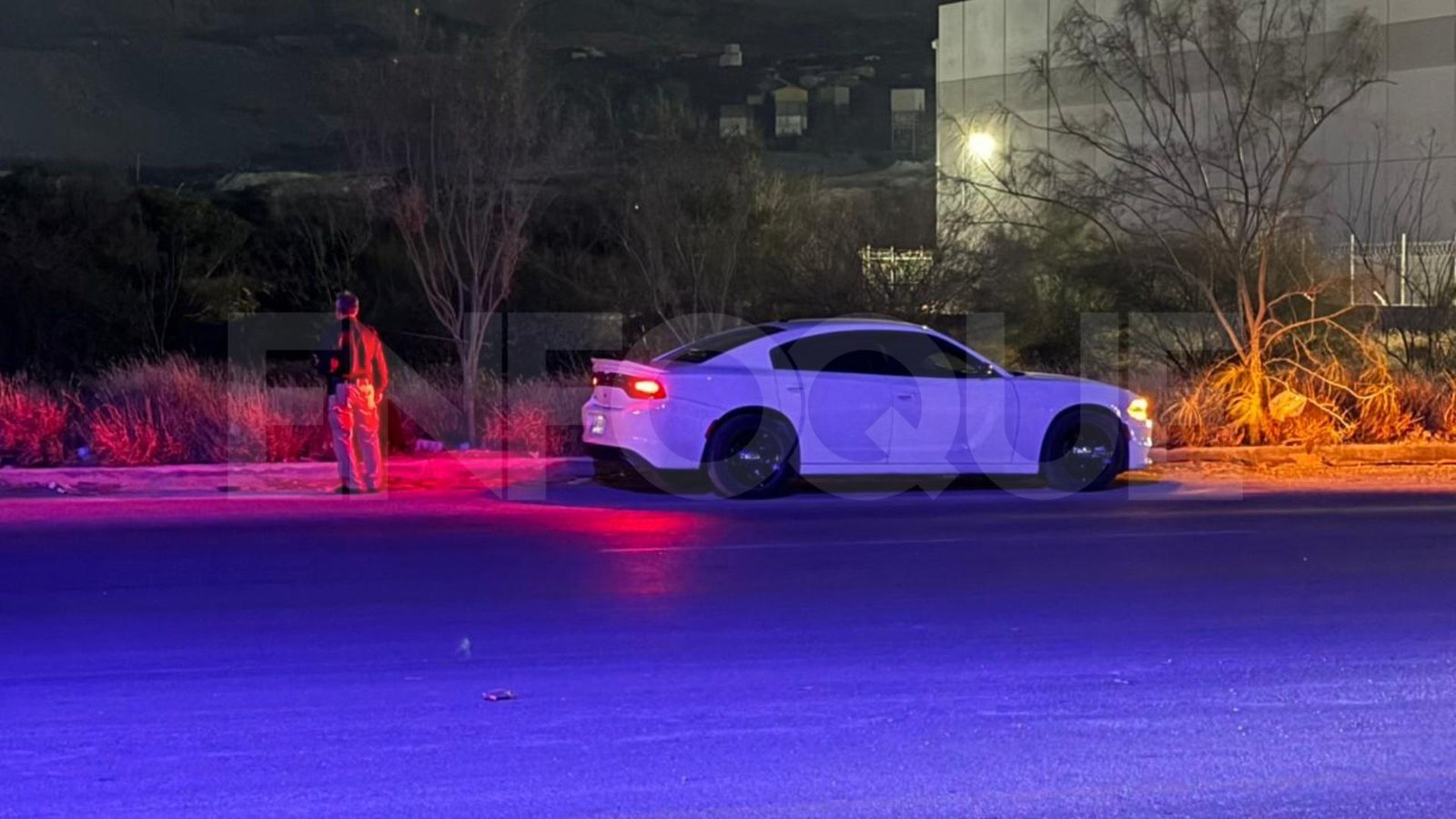 Plecas e informacion - 2025-11-25T202704.369