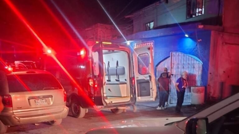 Plecas e informacion - 2025-11-25T203824.226