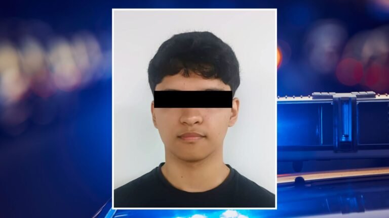 Plecas e informacion - 2025-11-26T162147.003