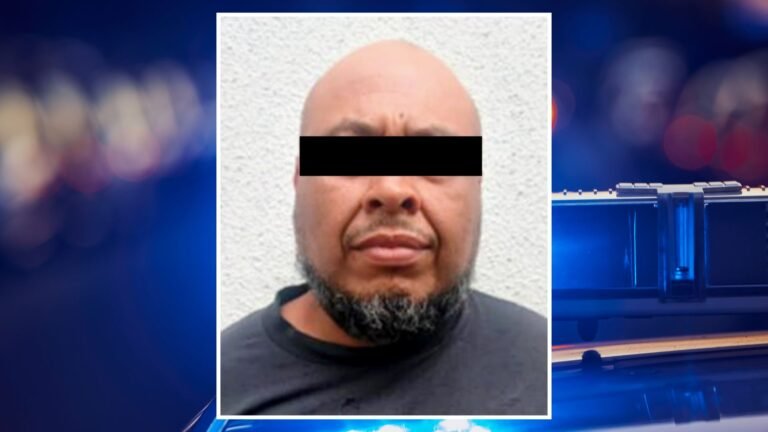 Plecas e informacion - 2025-11-26T170020.958