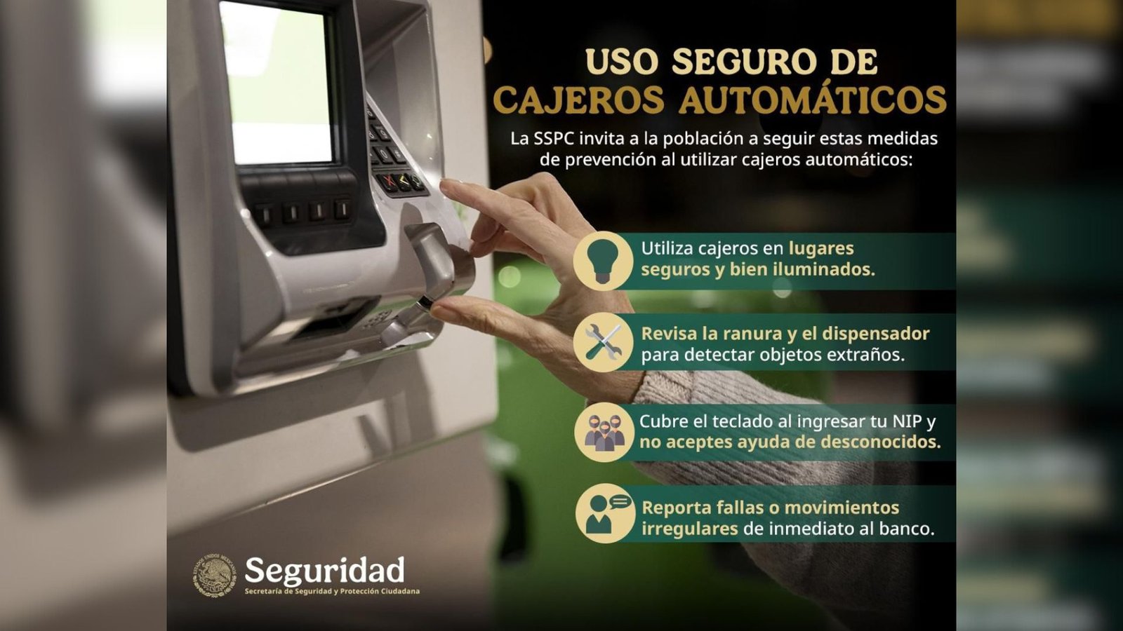 Plecas e informacion - 2025-11-26T173729.023