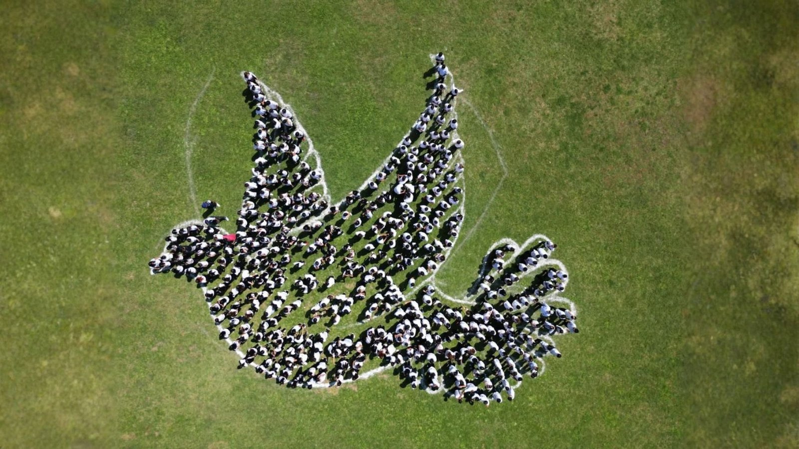 Plecas e informacion - 2025-11-26T174822.674