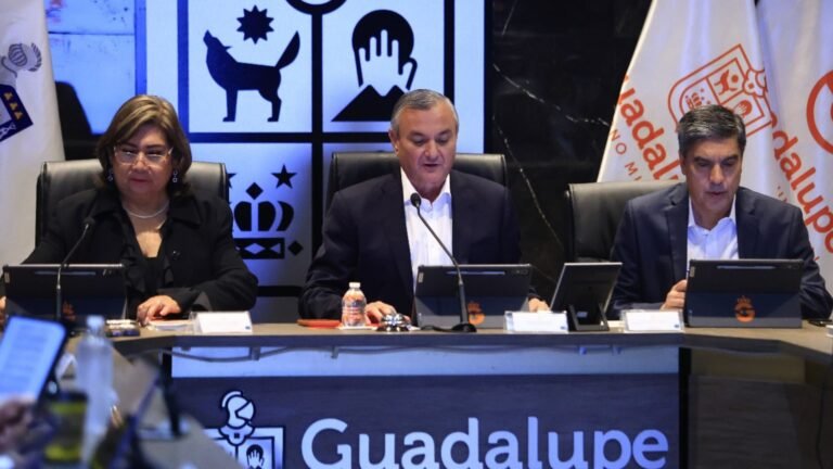 Plecas e informacion - 2025-11-26T181017.707