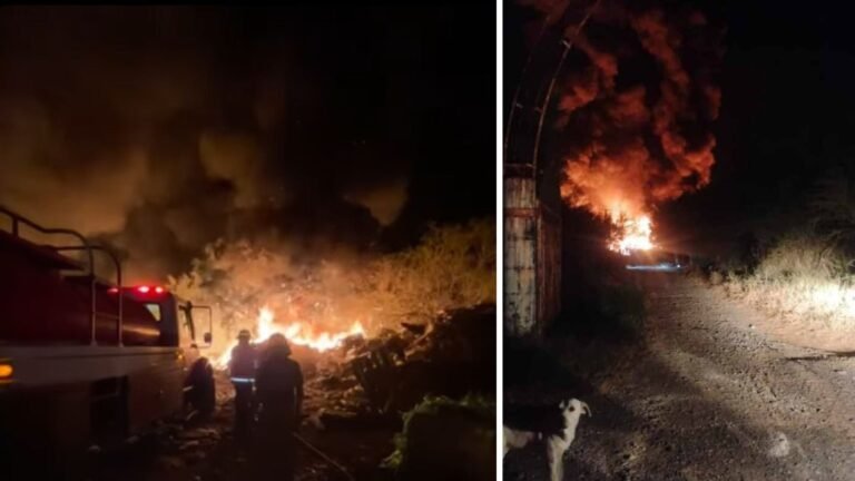 Plecas e informacion - 2025-11-26T194402.940