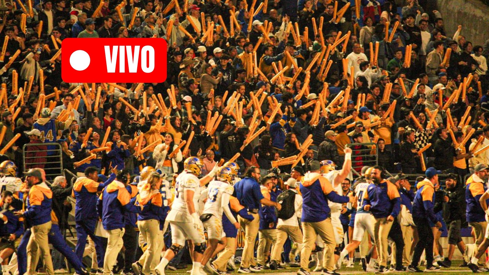 MINUTO A MINUTO: Final de la ONEFA – Auténticos Tigres vs Borregos Monterrey