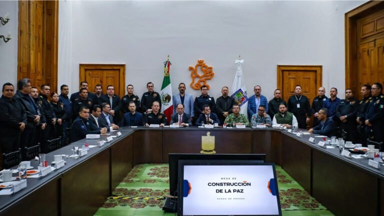 Plecas e informacion (22)